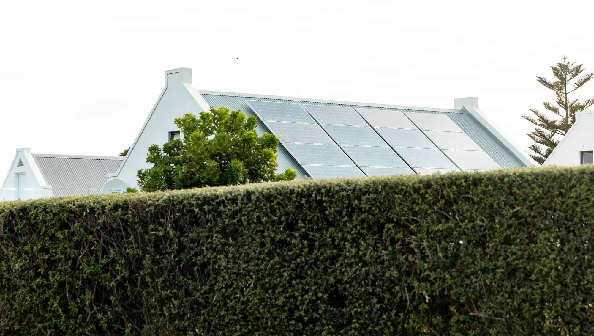 Høy busk med et hus i bakgrunnen med solcellepanel